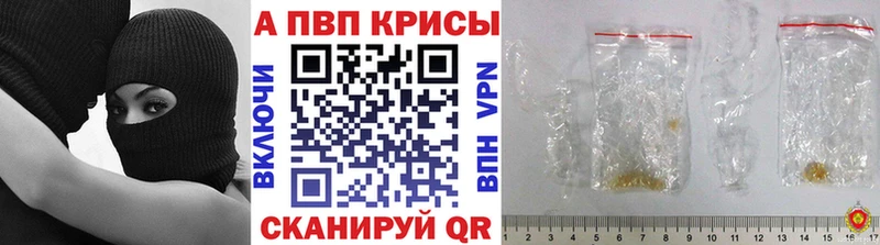 A-PVP СК  Киселёвск 