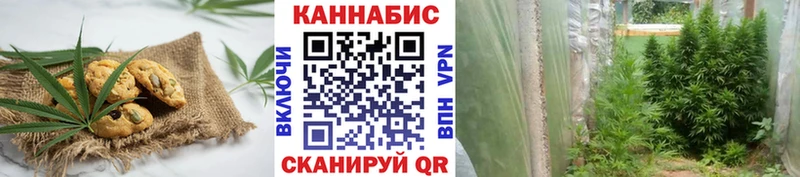 Canna-Cookies конопля Киселёвск