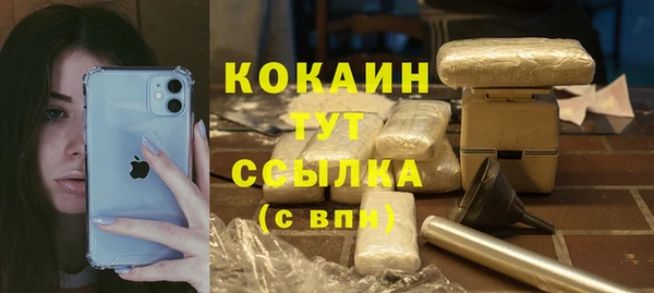 МДПВ Нефтегорск