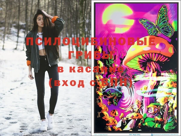 МДПВ Нефтегорск