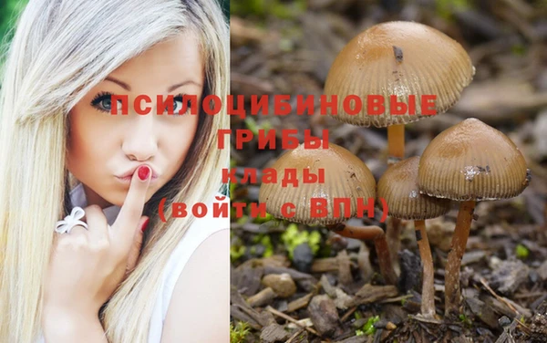 меф Нефтекумск