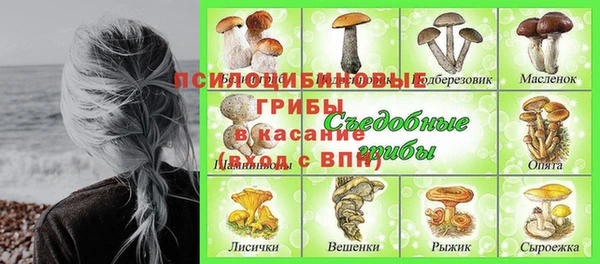 МДПВ Нефтегорск