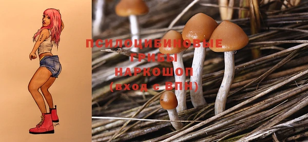скорость Нея