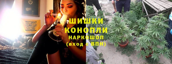 МДПВ Нефтегорск