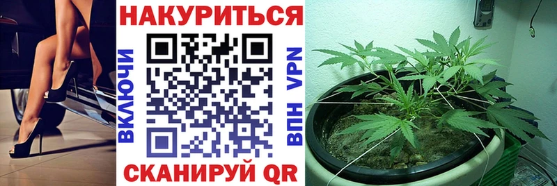 МАРИХУАНА гибрид  Киселёвск 